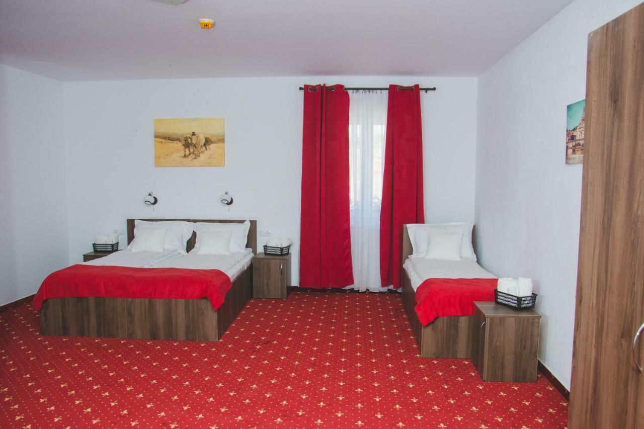 Pensiunea Iliada Sibiu Exteriör bild