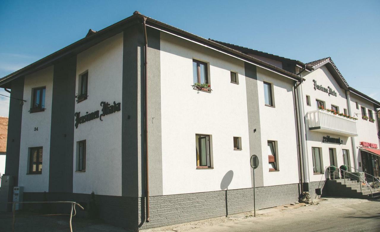 Pensiunea Iliada Sibiu Exteriör bild